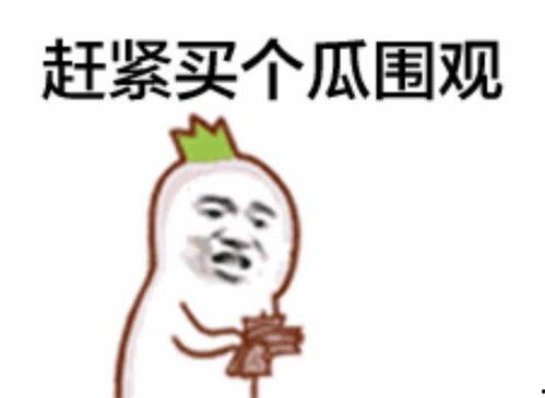 群众坐等抽奖吃瓜视频,揭秘群众“吃瓜”背后的狂欢盛宴
