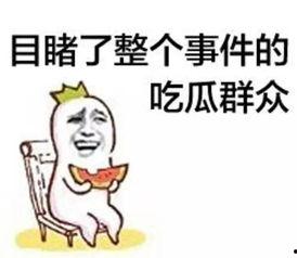 小雷哥吃瓜群众是真的吗,揭秘网络舆论背后的真相