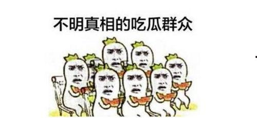 吃瓜群众该看视频吗,揭秘视频背后的真相