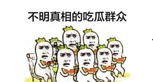 吃瓜群众名句,揭秘网络舆论场的众生相