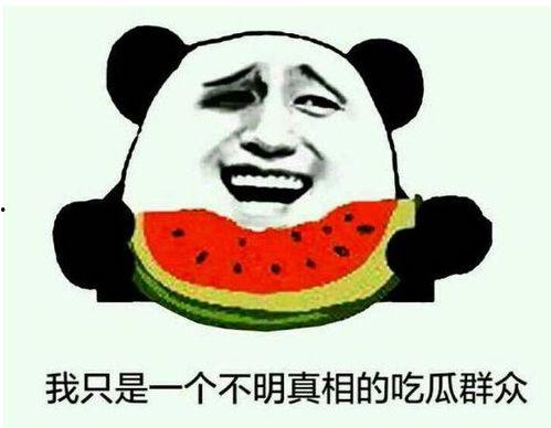 吃瓜群众表示没有必要,无需生成概述文章副标题