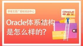 四个字吃瓜群众软件,揭秘网络围观背后的秘密