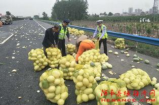 庵埠吃瓜群众新闻最新消息,吃瓜群众聚焦热点事件
