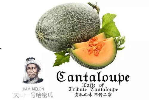 二号吃瓜群众是谁,网络红人的崛起与争议