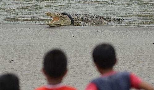 蛇吃瓜群众视频