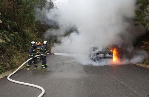 吃瓜群众追尾全责,一场意外的责任归属风波