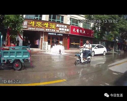 吃瓜群众追尾全责,一场意外的责任归属风波