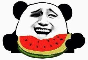 吃瓜群众1937年,吃瓜群众视角下的风云变幻